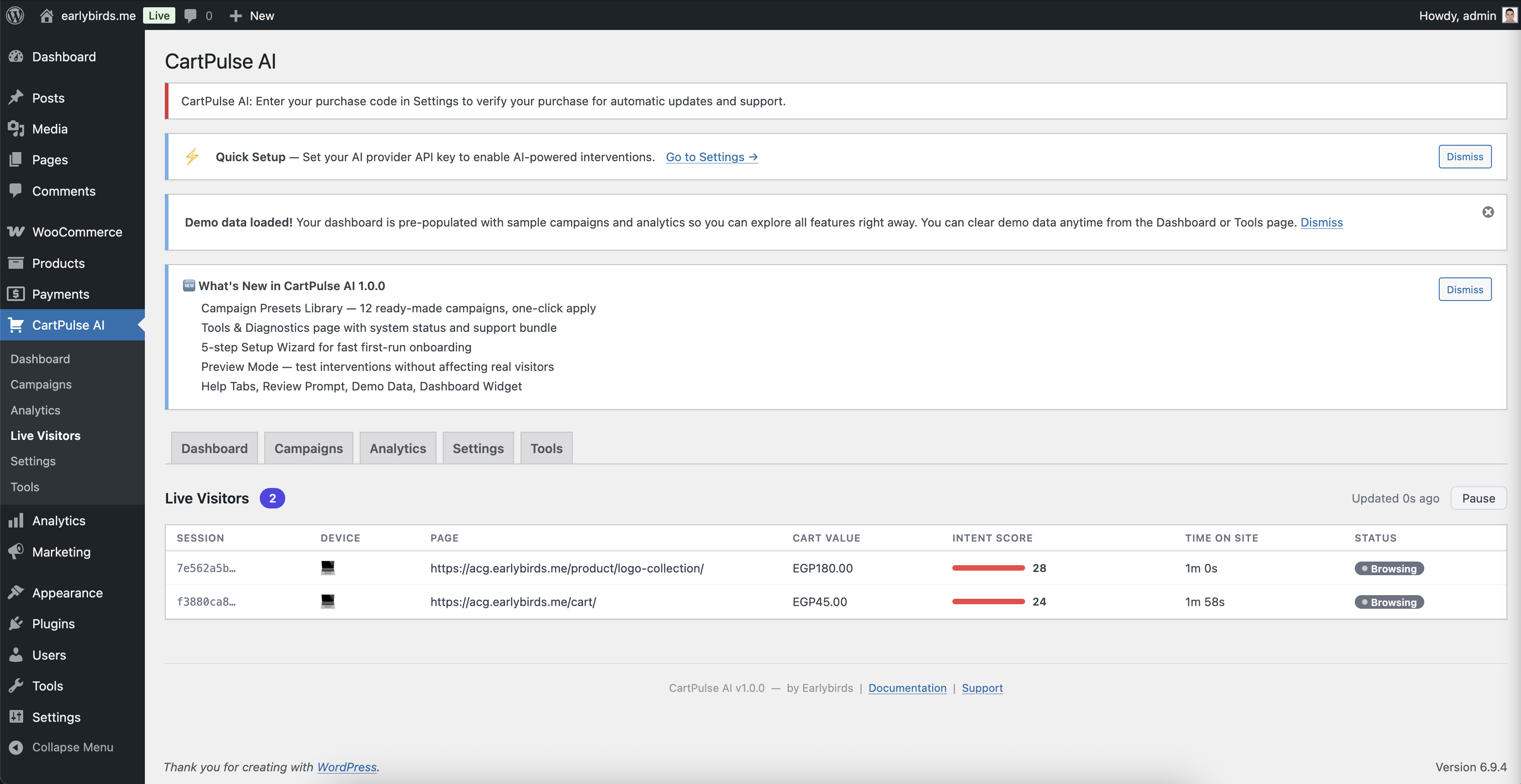 Live Visitors Dashboard