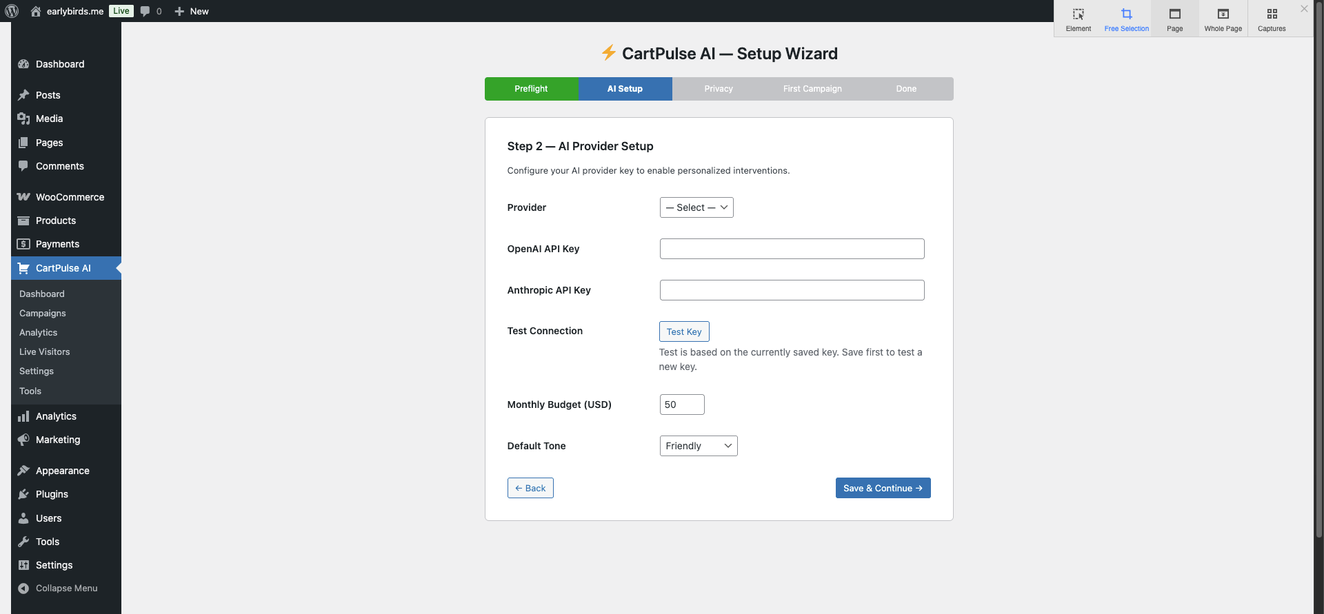 Setup Wizard — Step 2: AI Provider Setup