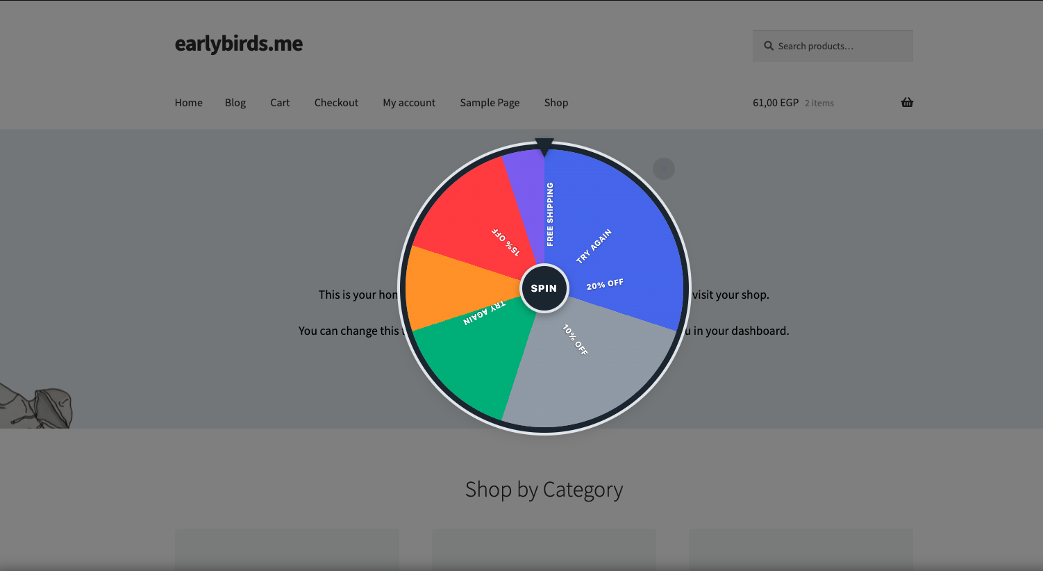 Spin Wheel Intervention on Storefront
